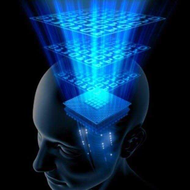 Neurogrid