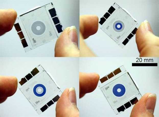 micro-iris