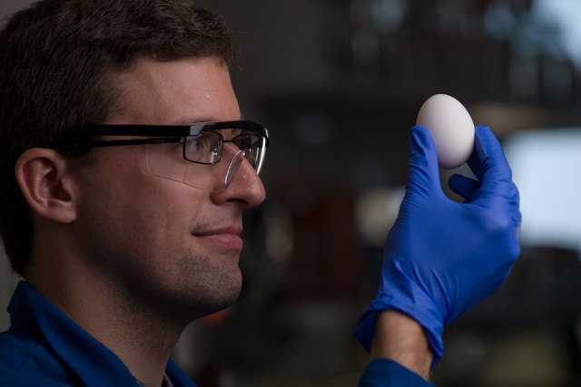 egg αυγό