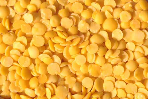 obama lentils