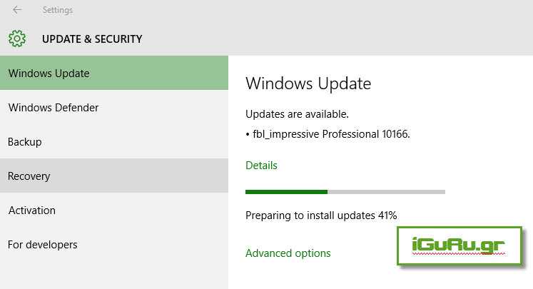windows 10 Professional 10166