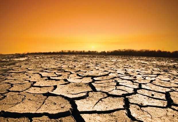 dry 2015