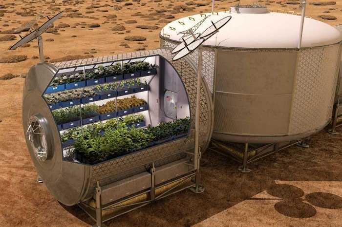 nasa veggie