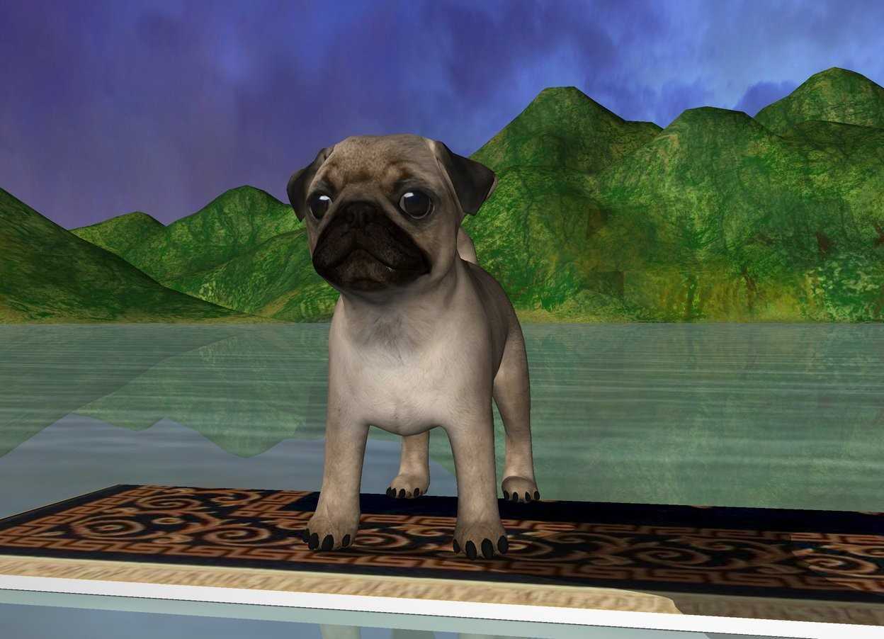 WordsEye