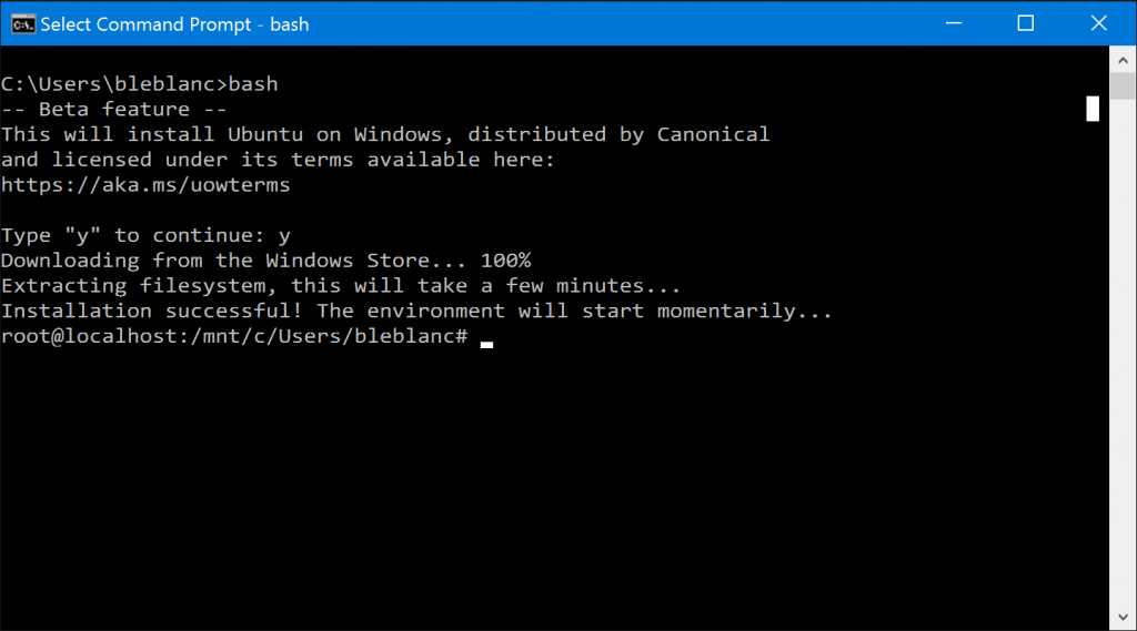 bash Windows 10