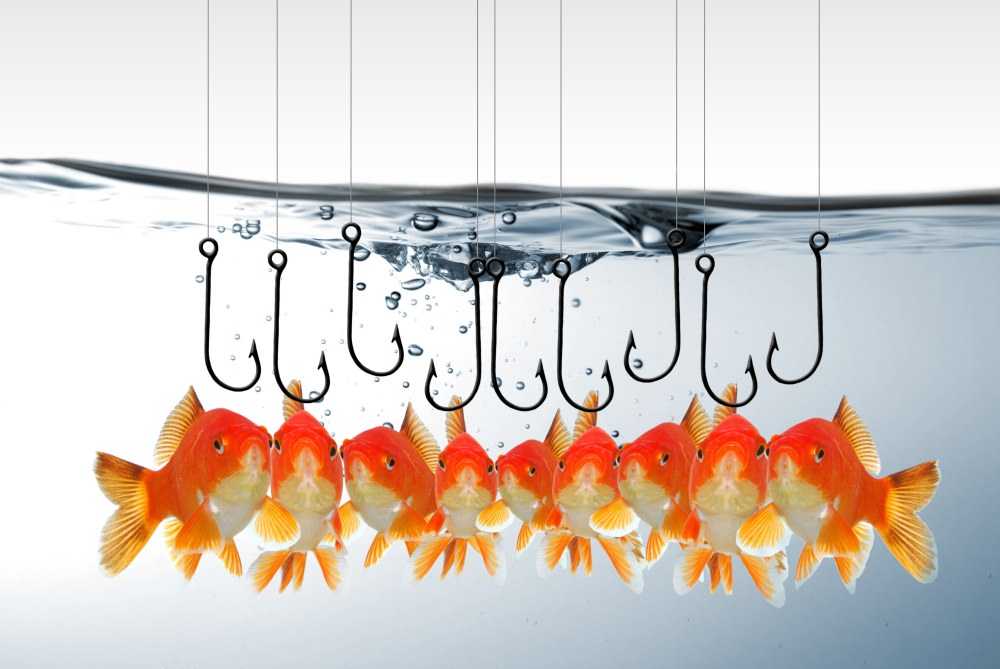 phishing Facebook