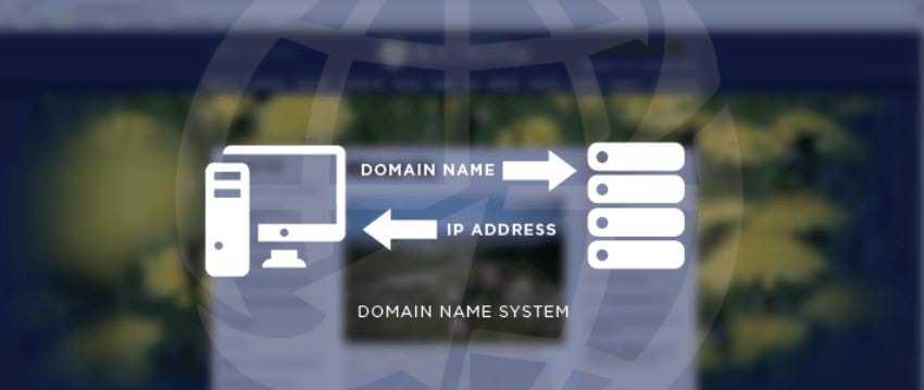 dns