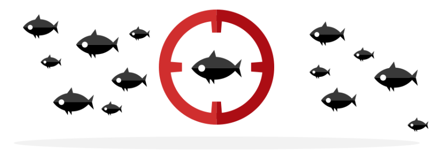 phishing Datasploit